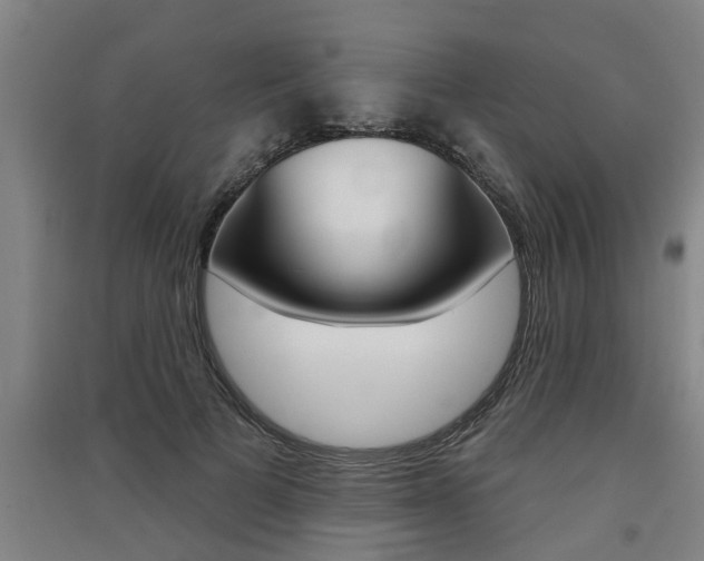 X0000091510697200708170949