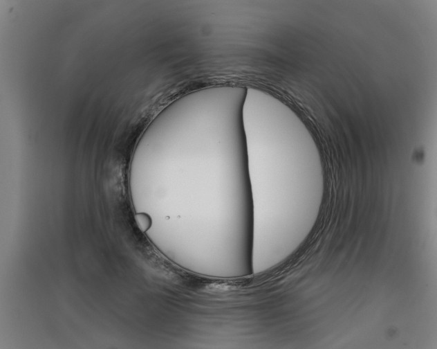 X0000091510699200708170949