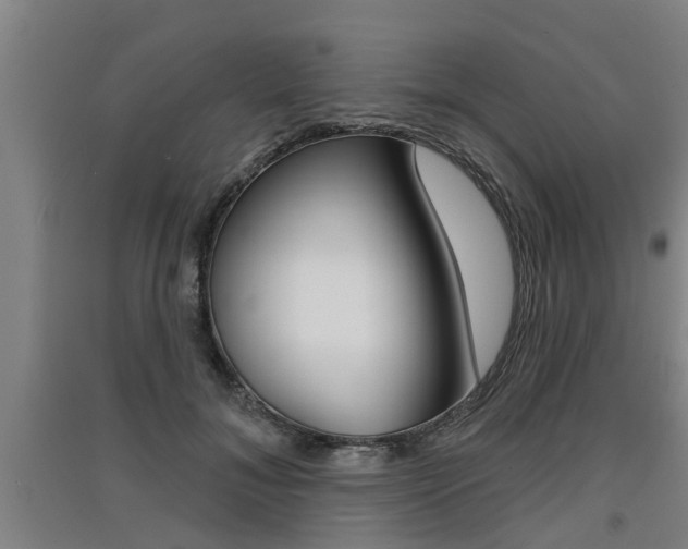 X0000091510700200708170949