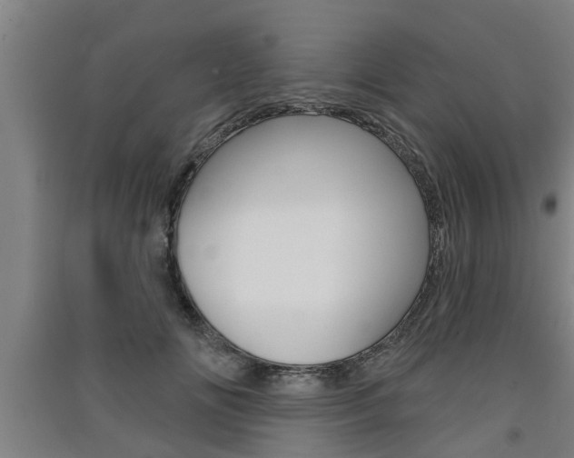 X0000091510702200708170949