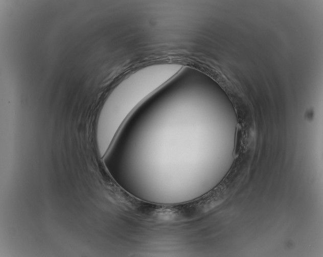 X0000091510704200708170949