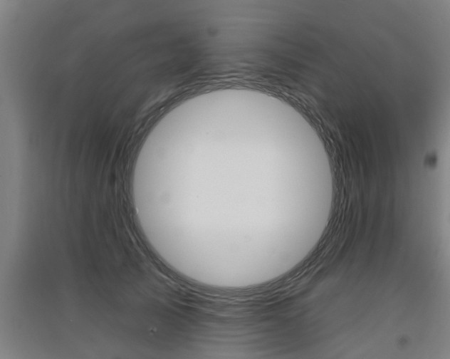 X0000091510705200708170949