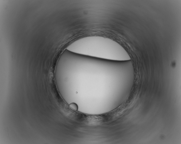 X0000091510707200708170949
