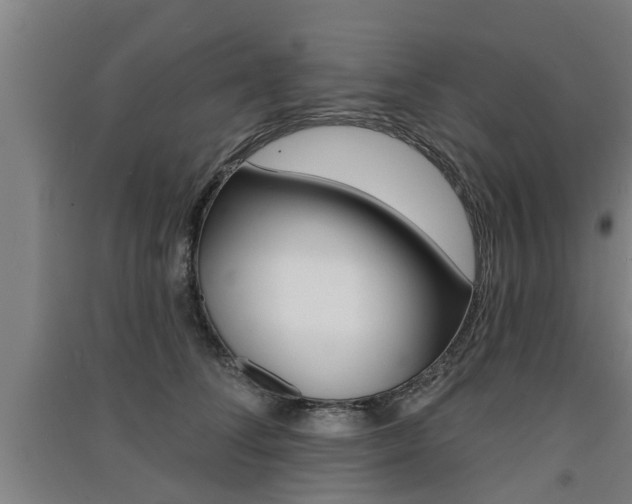 X0000091510708200708170949