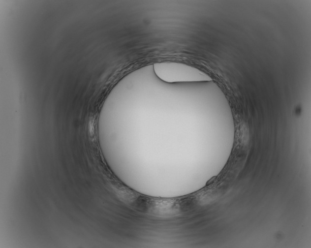 X0000091510709200708170949