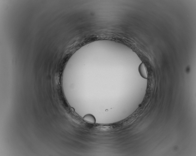 X0000091510711200708170949