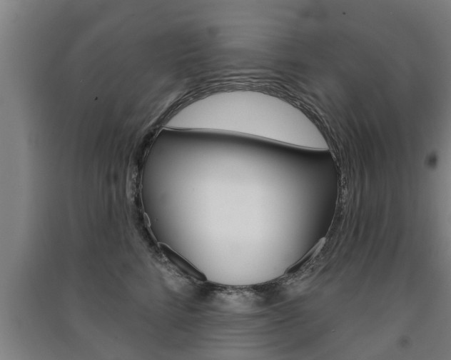 X0000091510712200708170949