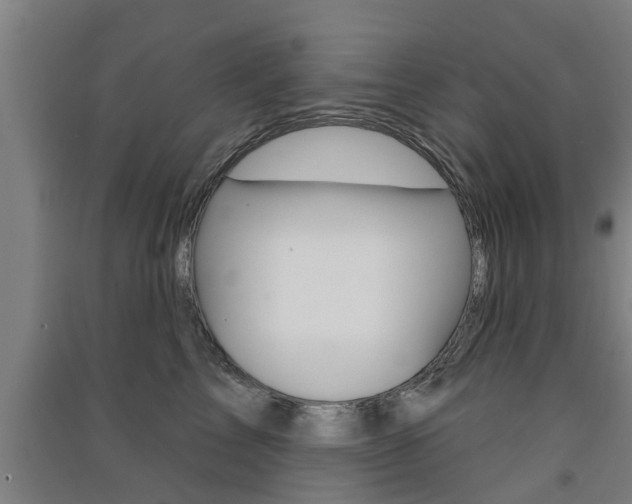 X0000091510713200708170949