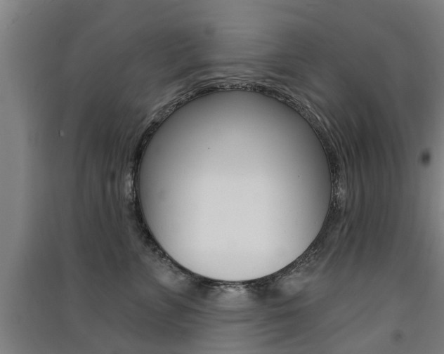 X0000091510715200708170949