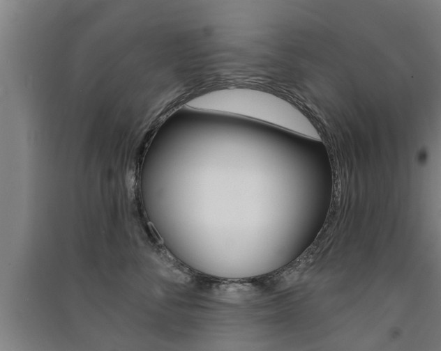 X0000091510716200708170949
