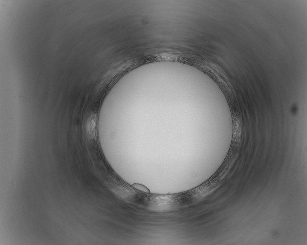 X0000091510717200708170949
