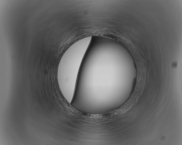 X0000091510720200708170949