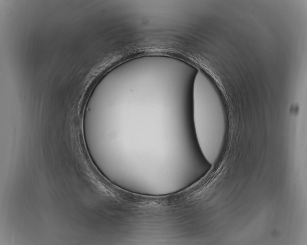 X0000091510721200708170948