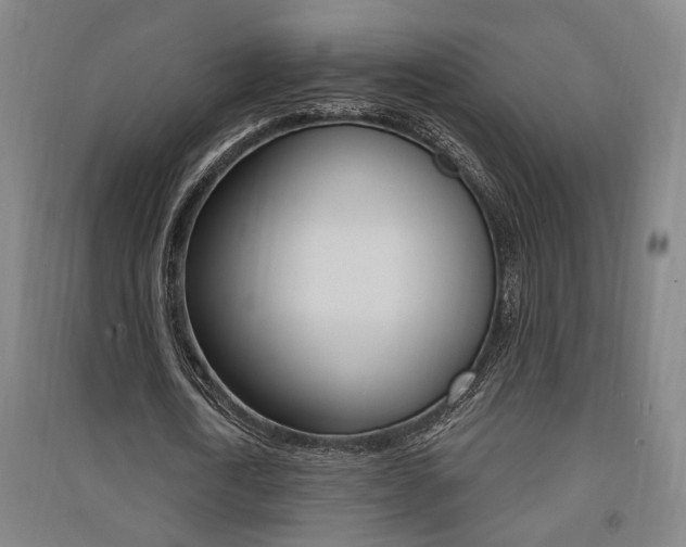 X0000091510722200708170948