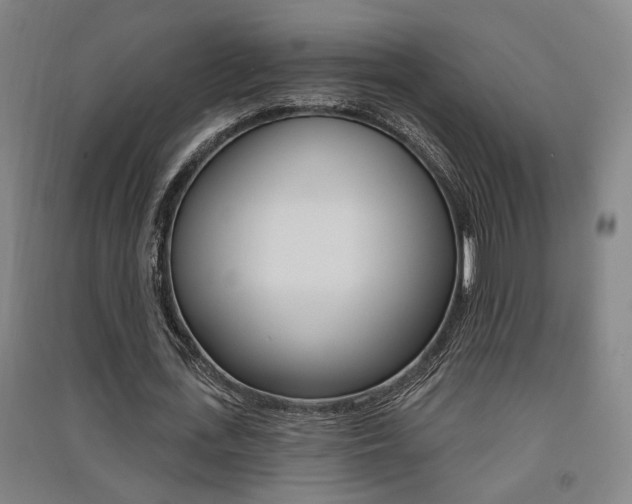 X0000091510723200708170948