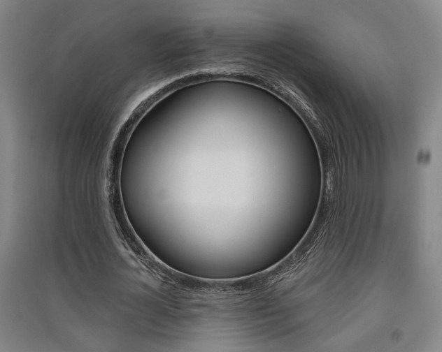 X0000091510724200708170948