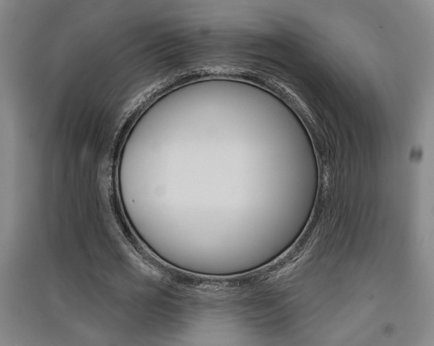 X0000091510725200708170948