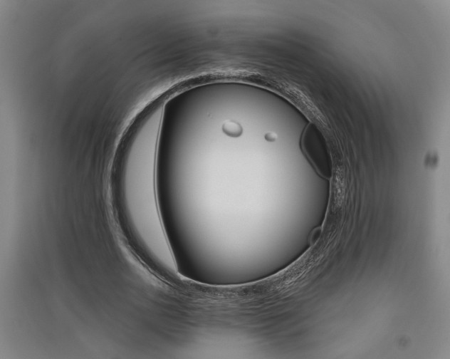 X0000091510726200708170949