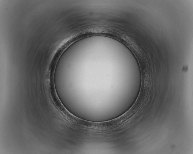 X0000091510727200708170949