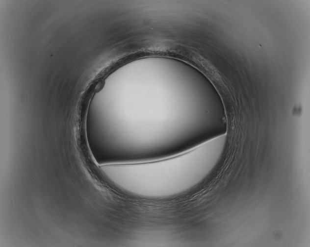 X0000091510728200708170949