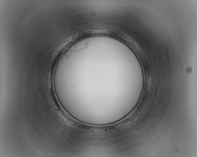 X0000091510729200708170949