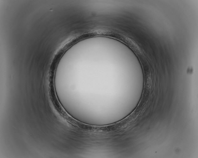 X0000091510730200708170949