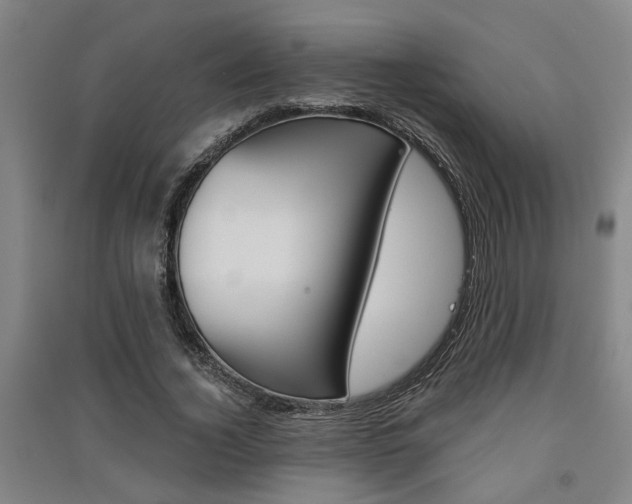 X0000091510732200708170949