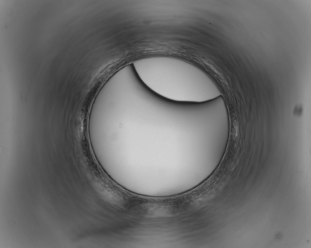 X0000091510733200708170949
