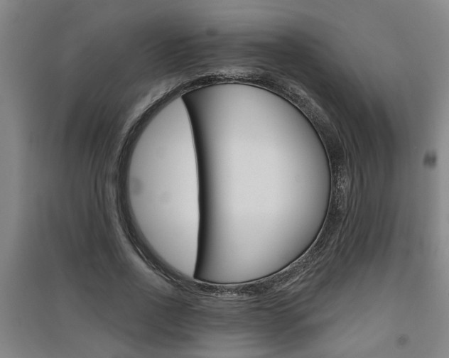 X0000091510734200708170949
