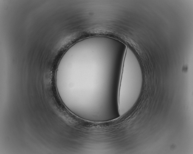X0000091510735200708170949