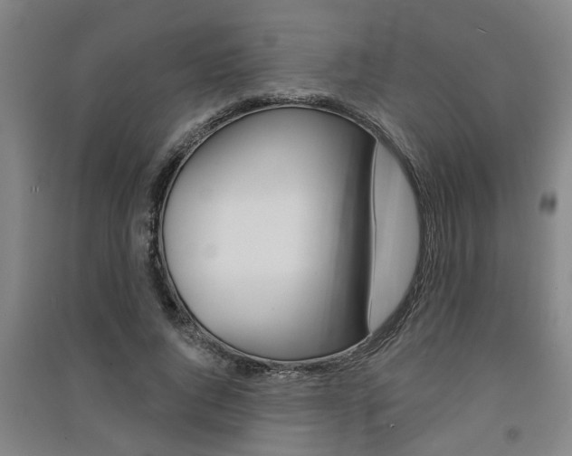 X0000091510736200708170949