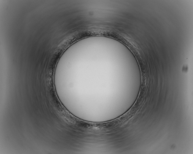 X0000091510737200708170949