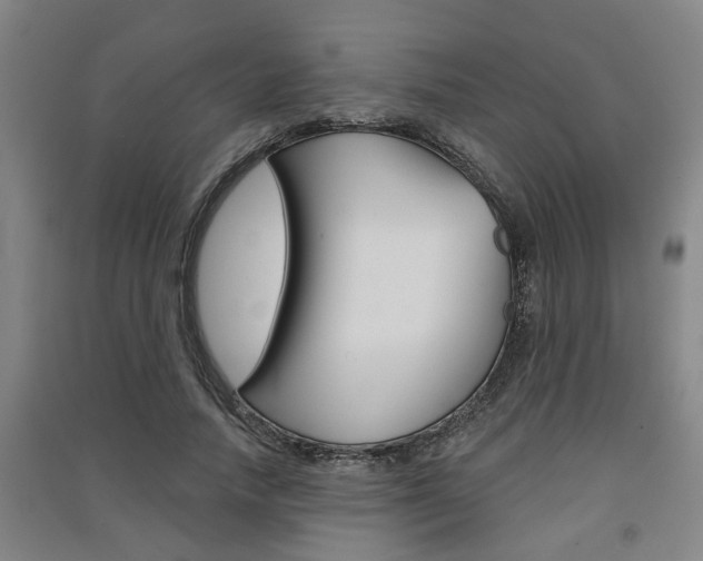 X0000091510738200708170949