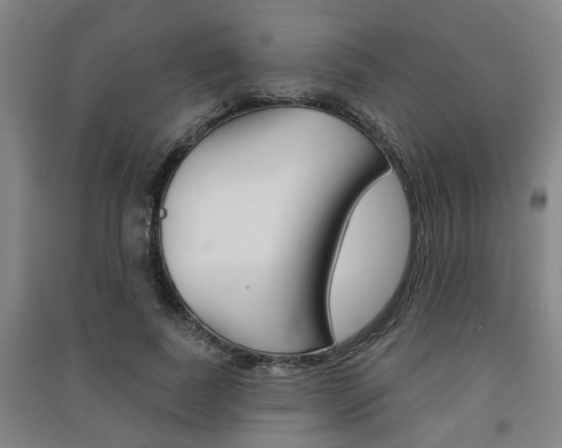 X0000091510739200708170949