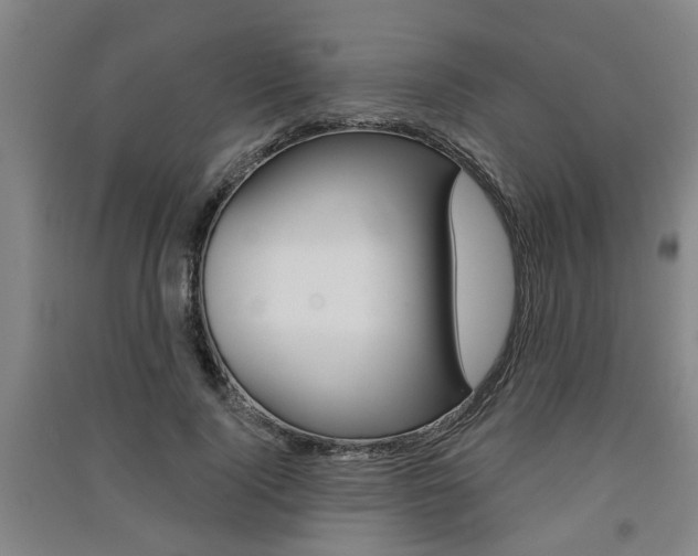 X0000091510740200708170949