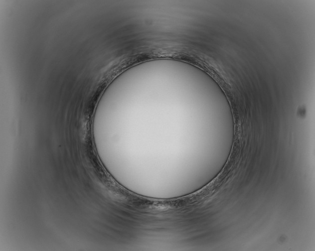 X0000091510741200708170949