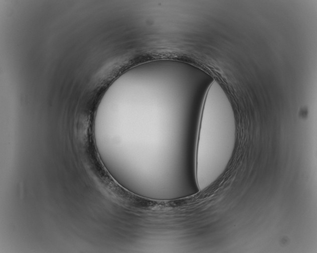X0000091510742200708170949