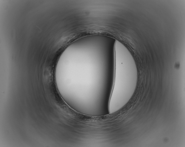 X0000091510743200708170949