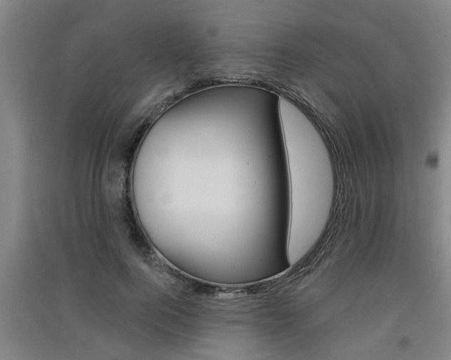 X0000091510744200708170949