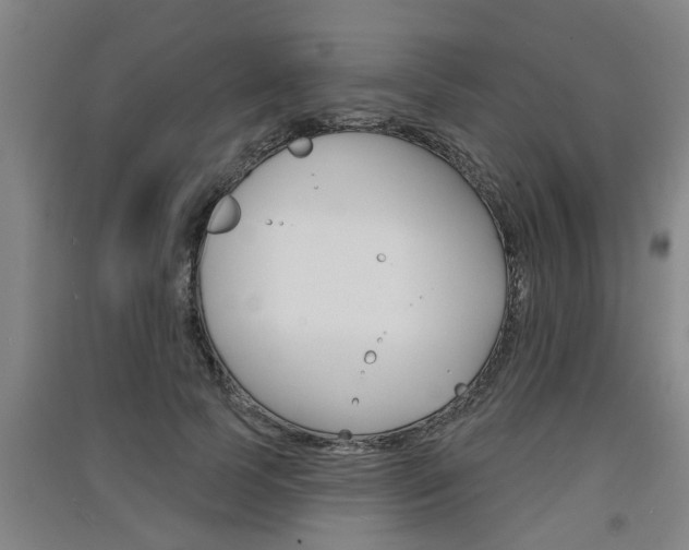 X0000091510745200708170949