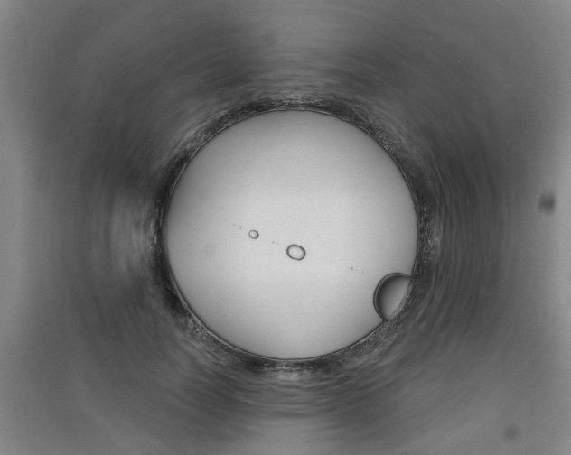 X0000091510746200708170949