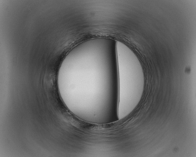 X0000091510747200708170949