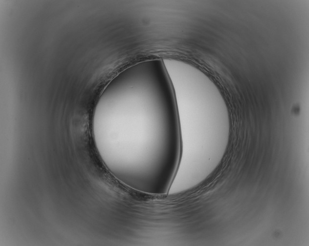 X0000091510748200708170949