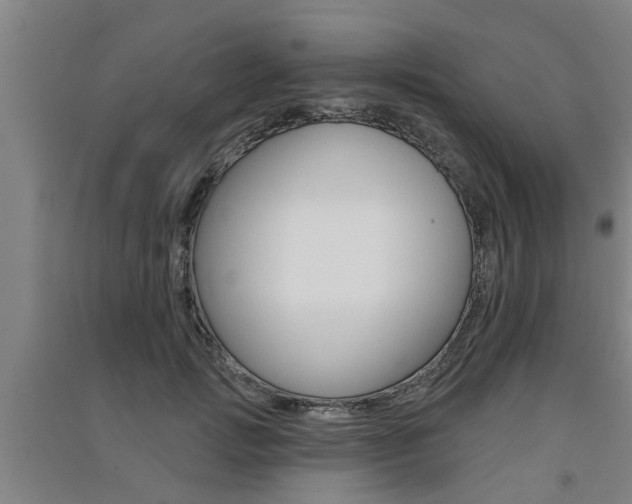 X0000091510749200708170949