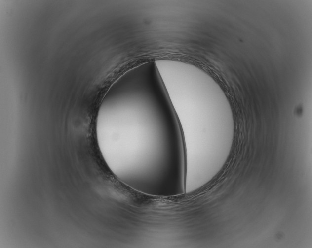 X0000091510750200708170949