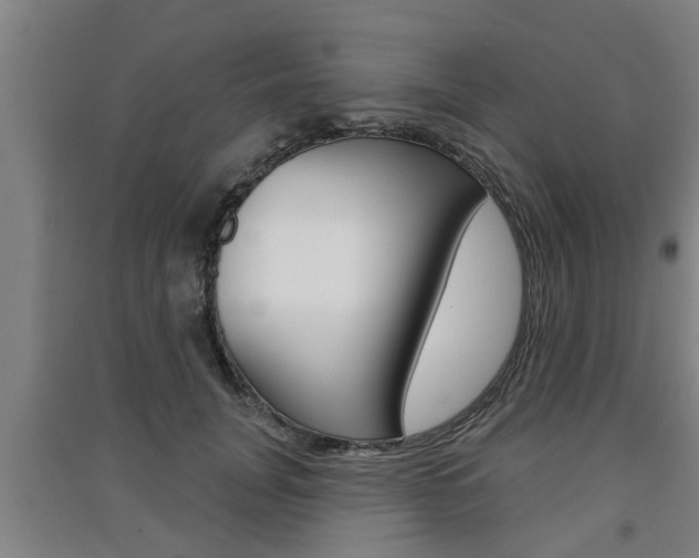 X0000091510751200708170949