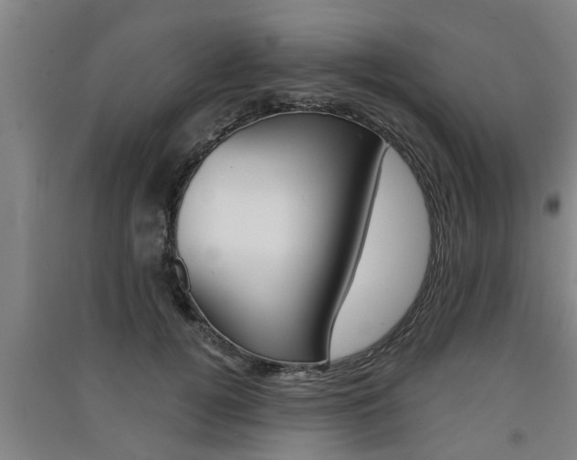 X0000091510752200708170949