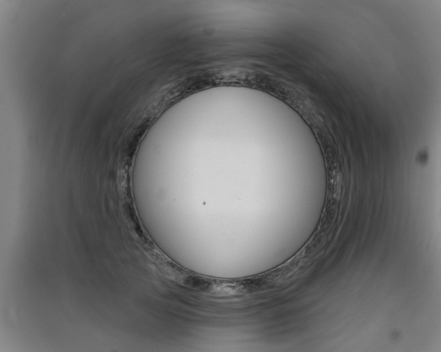 X0000091510753200708170949
