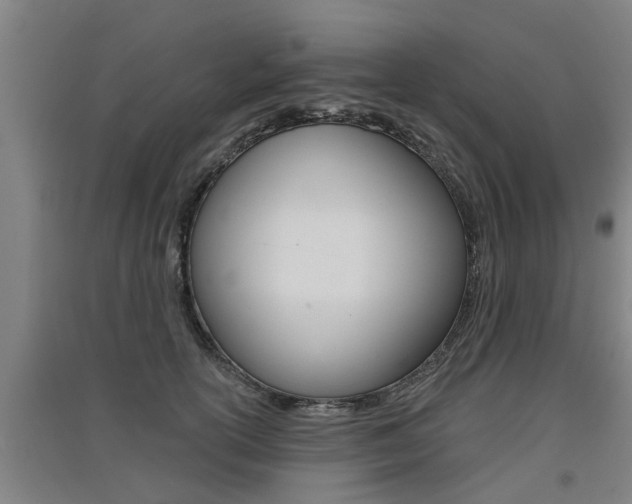 X0000091510754200708170949