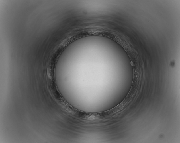 X0000091510755200708170949